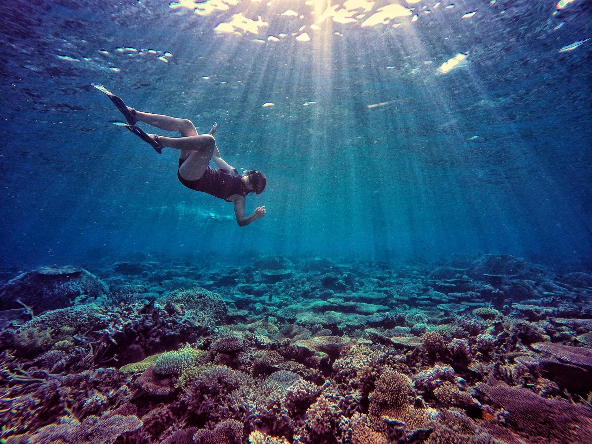 Bolilanga Island Resort - Togean Island Angkayo Экстерьер фото